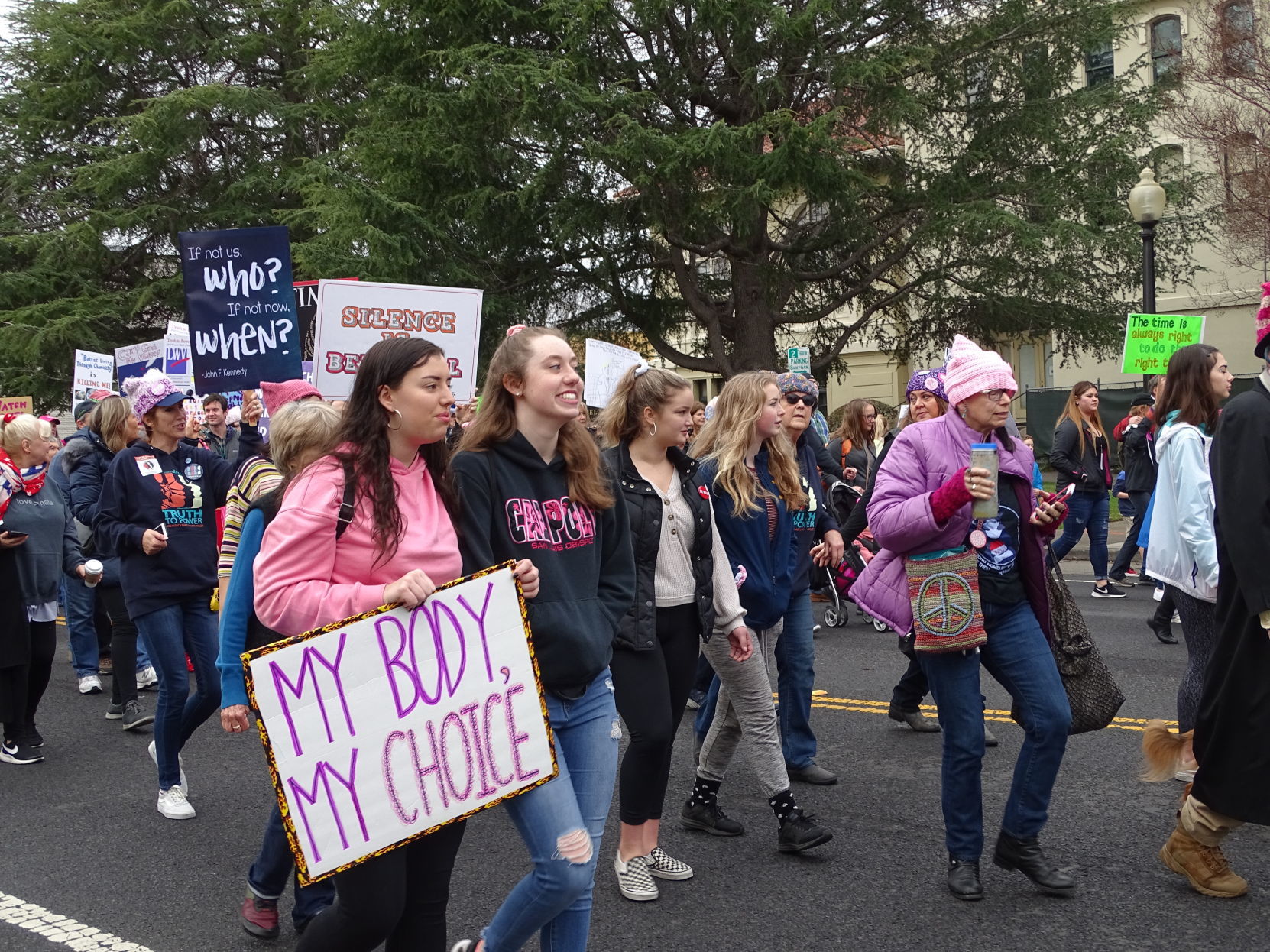 Women's March Napa Valley 2019